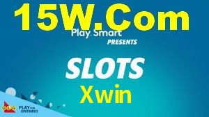 Premium Interface Xwin